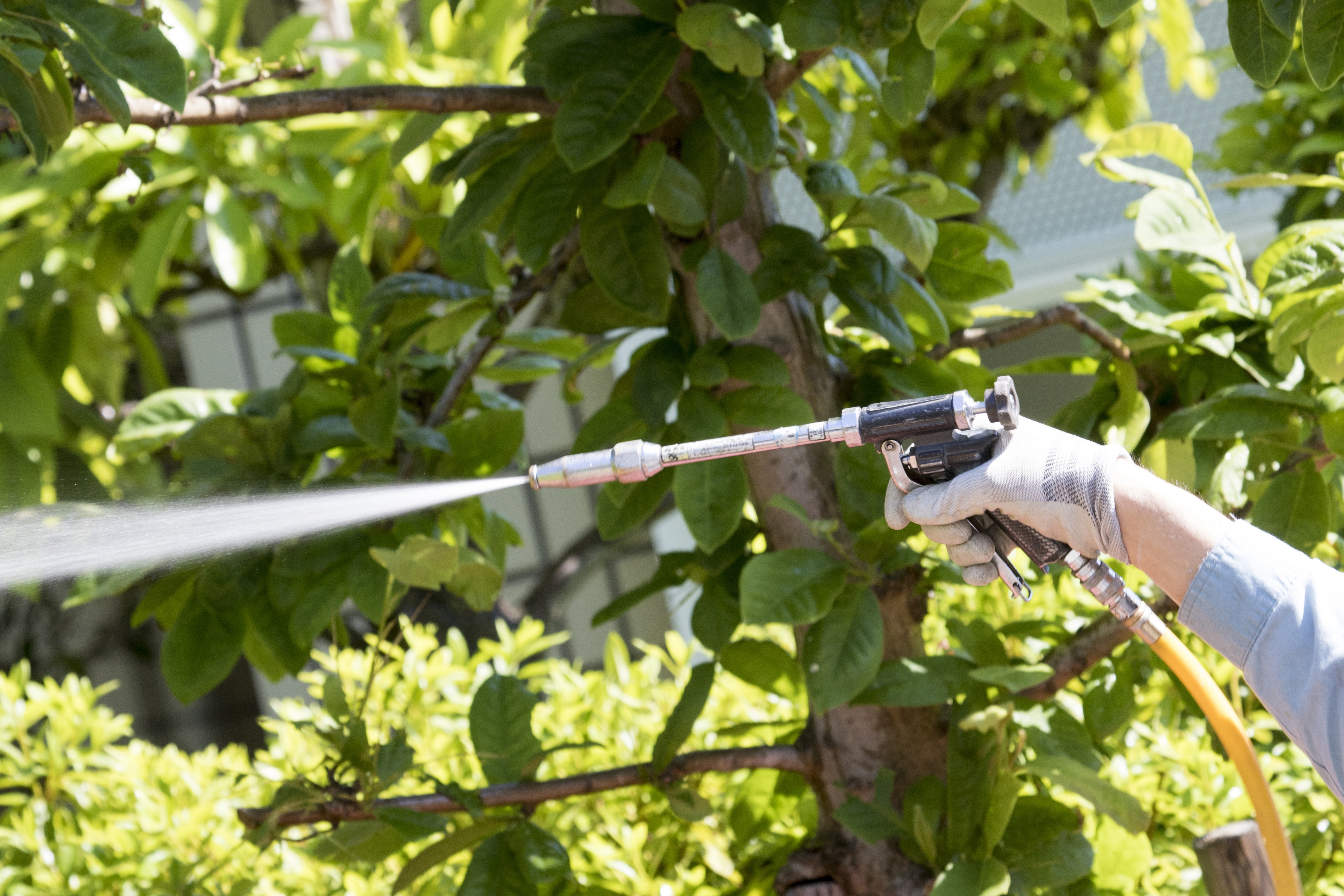 駆除屋アールビーの紹介写真_2枚目